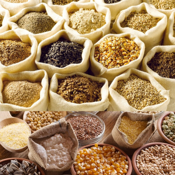 Understanding Millet Benefits for Better Health - Kiro - Keep it Real & Organic