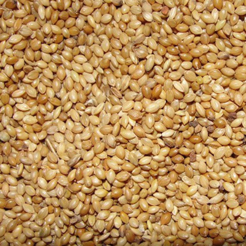 Foxtail Millet: Complete Nutrition Guide & Recipes