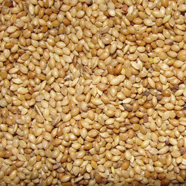Foxtail Millet: Complete Nutrition Guide & Recipes
