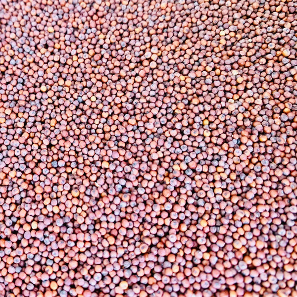 Why Ragi Benefits Matter: The Superfood Your Body Needs - Kiro - Keep it Real & Organic